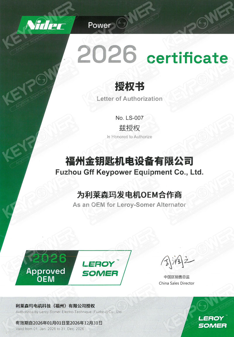Leroy Somer